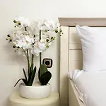 Eden Park - 7 Bdr - Yard 빌라 소조폴리