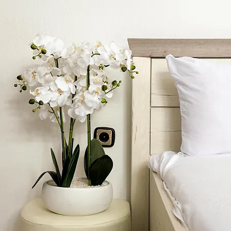 Eden Park - 7 Bdr - Yard Βίλα Σωζόπολη