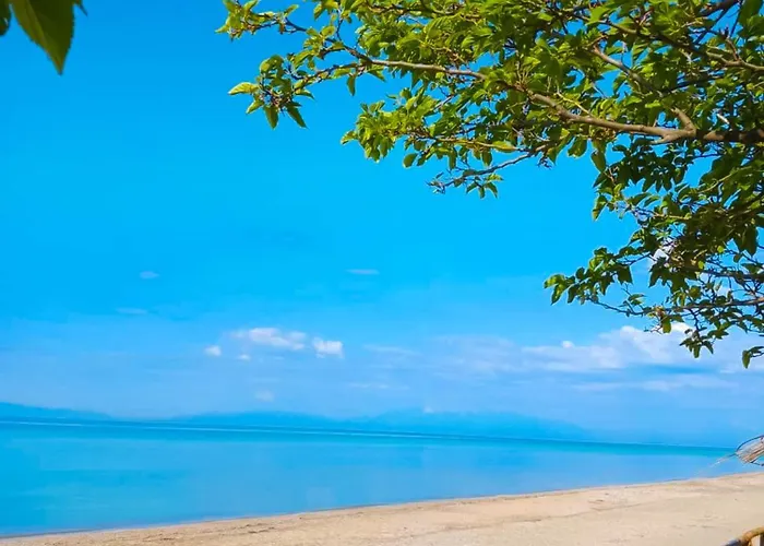 Eden Park - 7 Bdr - Yard